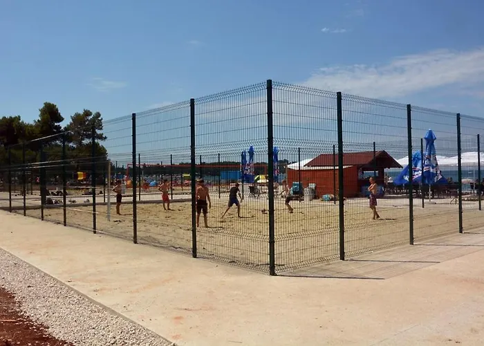 Madis & Free Bikes * 풀라