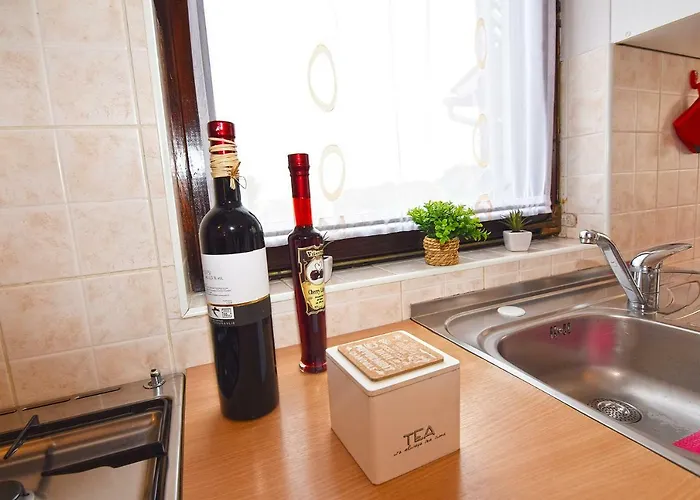 Madis & Free Bikes * 풀라