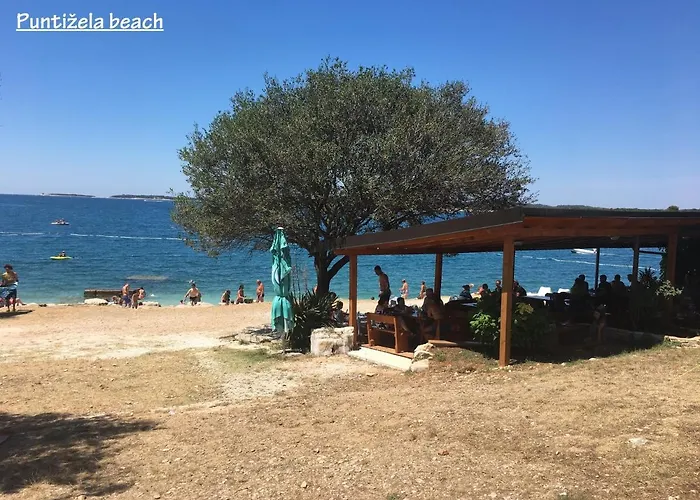 Madis & Free Bikes * 풀라