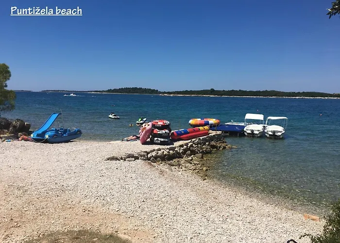 Madis & Free Bikes * 풀라