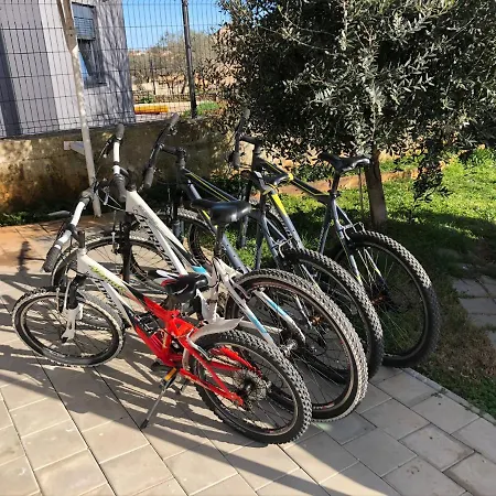 Madis & Free Bikes 普拉
