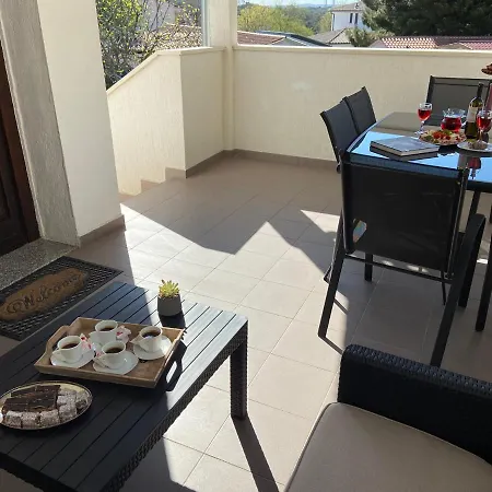 Madis & Free Bikes Póla