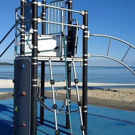 Madis & Free Bikes Póla