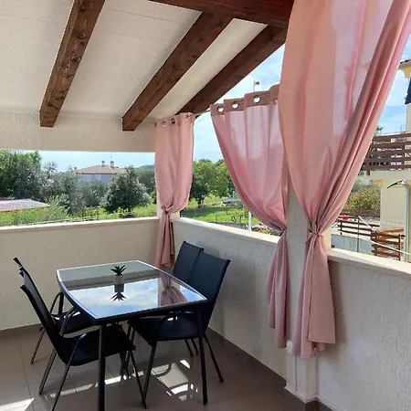 Madis & Free Bikes Póla