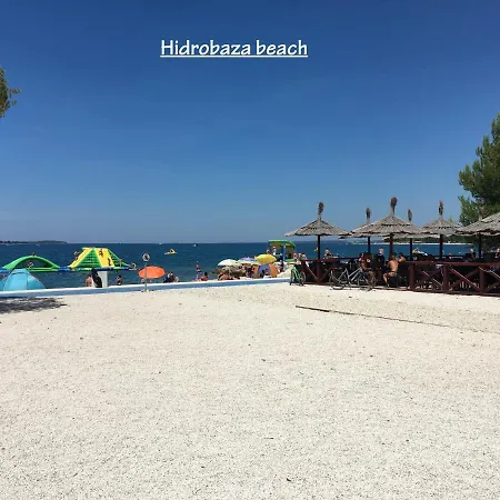 Madis & Free Bikes Póla