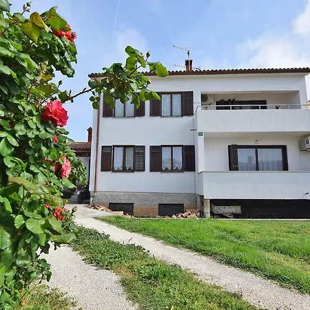 Madis & Free Bikes Lejlighed *