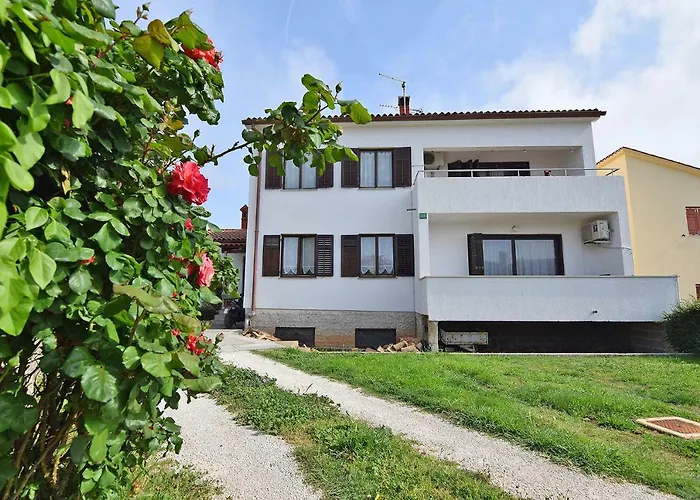 Madis & Free Bikes Lejlighed *