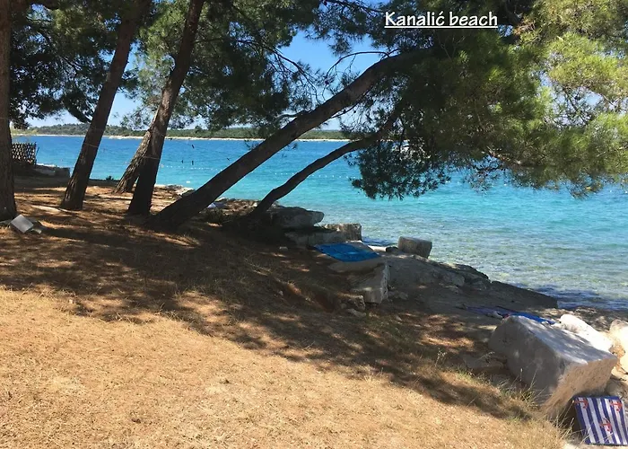 Madis & Free Bikes Lejlighed *