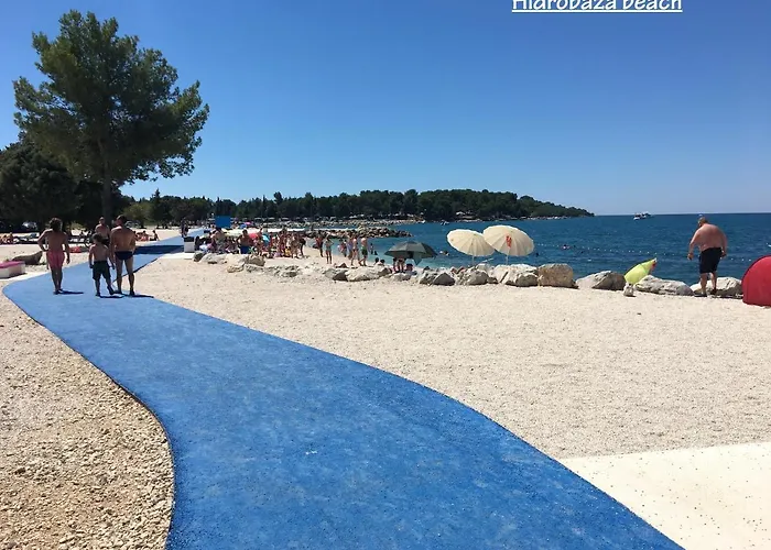 Madis & Free Bikes *